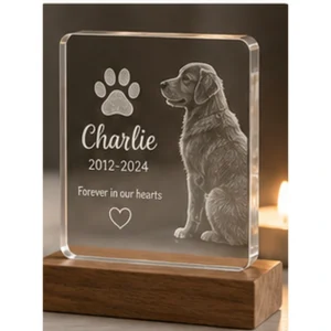 1 Pet ID Tag product view — BEINPRINT product photo